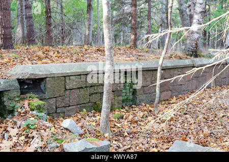 Le rovine della vecchia fattoria, George Décorétrès's wagon, nei boschi vicino al porto di bussola, Parco Nazionale di Acadia, Maine. Foto Stock