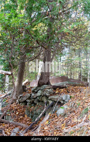 Le rovine della vecchia fattoria, George Décorétrès's wagon, nei boschi vicino al porto di bussola, Parco Nazionale di Acadia, Maine. Foto Stock