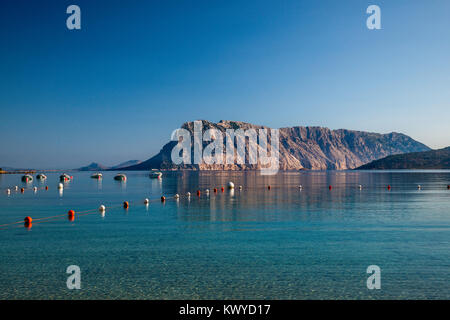 Isola di Tavolara, vista dalla spiaggia di Cala Suaraccia (Le Farfalle), mare Mediterraneo spiaggia vicino al villaggio di Monte Petrosu, Sardegna, Italia Foto Stock