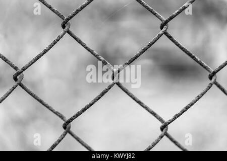 Bellissimo il netting maglia su uno sfondo sfocato. La formazione di ruggine. Foto Stock