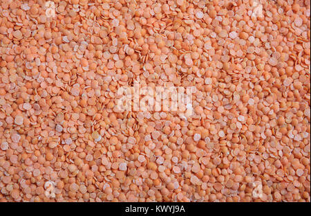 Orange lenticchie come sfondo Foto Stock