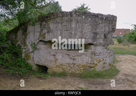 WW1 scatola di pillole al colle 60 vicino a Ypres in Belgio Foto Stock