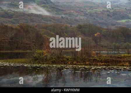 Tranquilla mattina di autunno a Llyn Tecwyn Isaf in Snowdonia, il Galles del Nord. Un bellissimo laghetto vicino a Harlech. Foto Stock