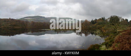 Tranquilla mattina di autunno a Llyn Tecwyn Isaf in Snowdonia, il Galles del Nord. Un bellissimo laghetto vicino a Harlech. Foto Stock