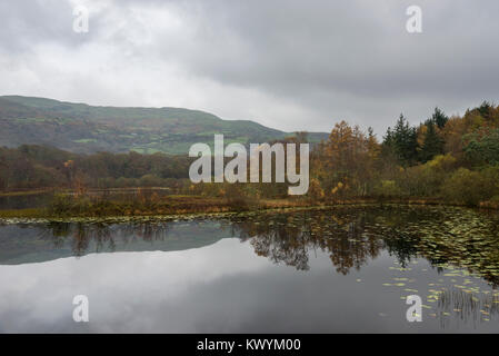 Tranquilla mattina di autunno a Llyn Tecwyn Isaf in Snowdonia, il Galles del Nord. Un bellissimo laghetto vicino a Harlech. Foto Stock