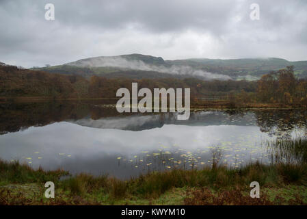 Tranquilla mattina di autunno a Llyn Tecwyn Isaf in Snowdonia, il Galles del Nord. Un bellissimo laghetto vicino a Harlech. Foto Stock