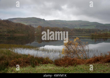 Tranquilla mattina di autunno a Llyn Tecwyn Isaf in Snowdonia, il Galles del Nord. Un bellissimo laghetto vicino a Harlech. Foto Stock