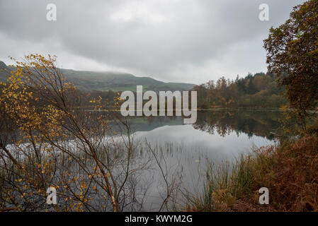 Tranquilla mattina di autunno a Llyn Tecwyn Isaf in Snowdonia, il Galles del Nord. Un bellissimo laghetto vicino a Harlech. Foto Stock