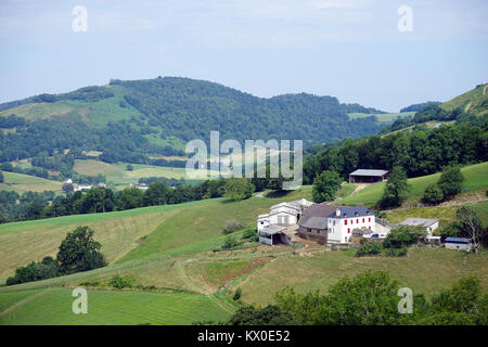 Case coloniche e fienile vicino campo e colline in Pyrenee Foto Stock