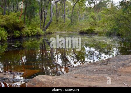 Altopiano di Blackdown National Park, Queensland, Australia Foto Stock