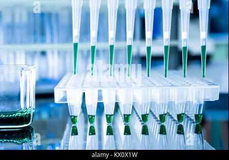 Strumenti per l'amplificazione mediante PCR del DNA: piastra a 96 pozzetti e pipetta automatica Foto Stock