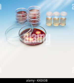 Pile di piatti e colture su agar con colonie fungine blu sul gradiente dello sfondo, quadrato background scientifico, lo spazio per il testo Foto Stock