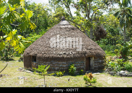 Casa Tradizionale di Nuova Caledonia Foto Stock
