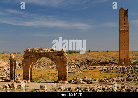 Le rovine della città antica di Harran in Mesopotamia superiore, vicino alla provincia di Sanliurfa in Turchia. Foto Stock