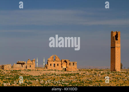 Rovine dell'antica città di Harran nell'alta Mesopotamia, vicino alla provincia di Sanliurfa in Turchia. Foto Stock