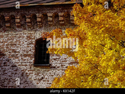Muro di mattoni con alberi d'autunno in Vyborg, Russia. Foto Stock