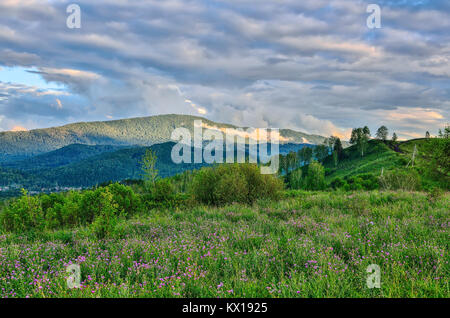 Estate nebbia di mattina in montagna, la luce del sole attraverso le nuvole basse. La nebbia sorge sulle colline e il prato fiorito con fiori viola - bella l Foto Stock