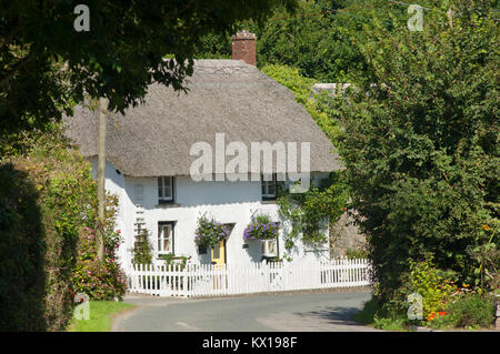 Un grazioso cottage con il tetto di paglia, Gunwalloe, Cornwall, Regno Unito - Giovanni Gollop Foto Stock