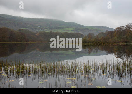 Tranquilla mattina di autunno a Llyn Tecwyn Isaf in Snowdonia, il Galles del Nord. Un bellissimo laghetto vicino a Harlech. Foto Stock