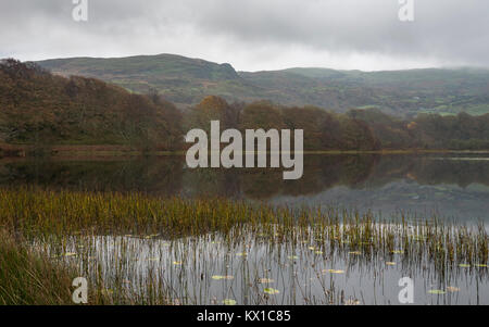 Tranquilla mattina di autunno a Llyn Tecwyn Isaf in Snowdonia, il Galles del Nord. Un bellissimo laghetto vicino a Harlech. Foto Stock