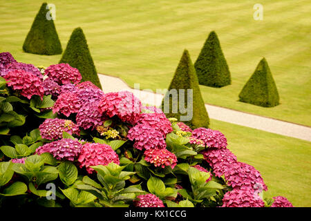 Plas Cadnant Hidden Garden, il Galles del Nord. Foto Stock