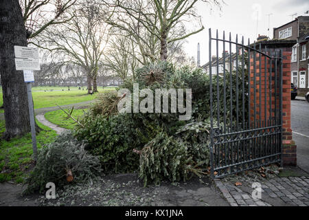 Londra, Regno Unito. Il 6 gennaio, 2018. Alberi di Natale sono oggetto di pratiche di dumping con un consiglio punto di riciclaggio nel Parco Deptford Credito: Guy Corbishley/Alamy Live News Foto Stock