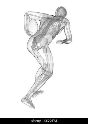 Giocatore di rugby del sistema scheletrico, illustrazione. Foto Stock