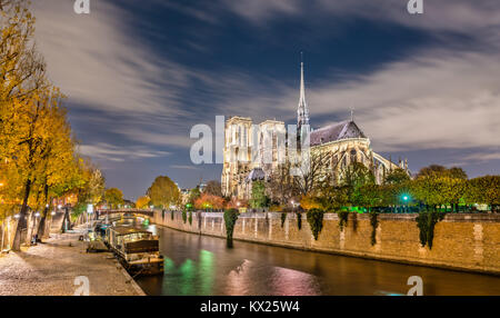 Vista della cattedrale di Notre Dame de Paris dalle rive della Senna di notte Foto Stock