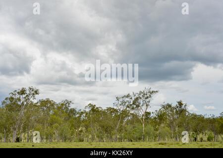 Scene rurali dal paese paesaggi australiani, Queensland, Australia Foto Stock