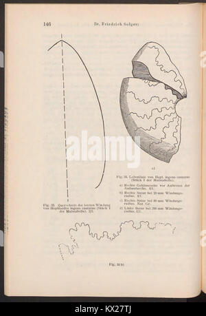 Questa pagina di "Beitrage zur Geologie von Kamerun" contribuisce allo studio geologico del Camerun, descrivendo dettagliatamente le formazioni geologiche del paese e le sue risorse naturali. Foto Stock