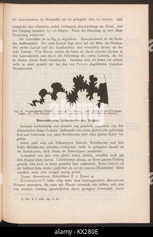 Una pagina scientifica di "Beiträge zur Geologie von Kamerun", che discute delle caratteristiche e delle formazioni geologiche del Camerun, fornendo i primi dati geologici sul paesaggio della regione. Foto Stock