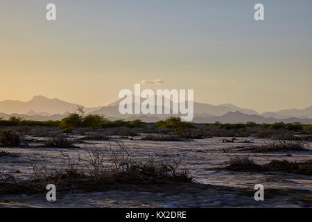 Mar Rosso colline, Sudan (Nord Sudan), Africa Foto Stock