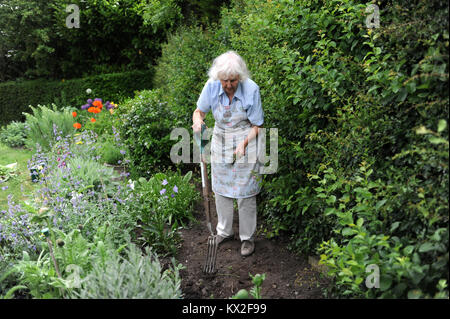 Signora anziana giardinaggio nella sua famiglia giardino di casa nel North Yorkshire, Regno Unito Foto Stock