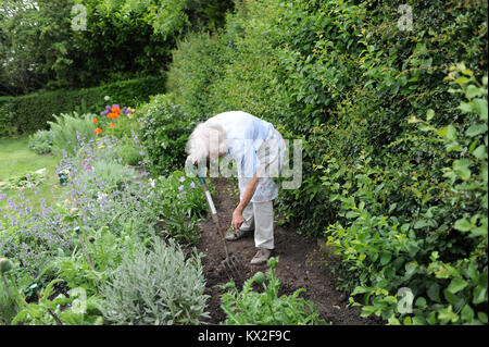 Signora anziana giardinaggio nella sua famiglia giardino di casa nel North Yorkshire, Regno Unito Foto Stock