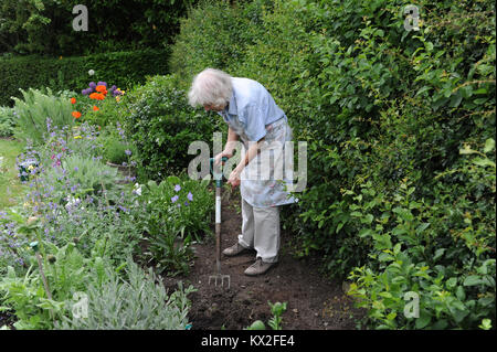 Signora anziana giardinaggio nella sua famiglia giardino di casa nel North Yorkshire, Regno Unito Foto Stock