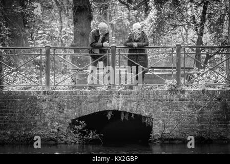 Una coppia di anziani stand appoggiata contro la ringhiera di un ponte su un laghetto gustando la tranquillità intorno a loro Foto Stock