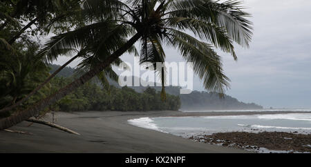 Escursionista sulla spiaggia Corcovado National Park Costa Rica Osa Peninsula Foto Stock