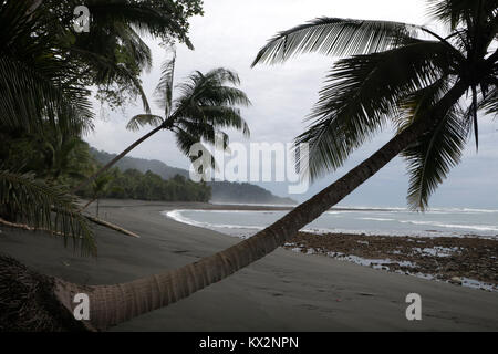 Escursionista sulla spiaggia Corcovado National Park Costa Rica Osa Peninsula Foto Stock