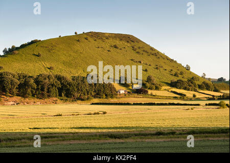 Una tranquilla serata estiva sulle frontiere gallese. Herrock Hill sulla Offa's Dyke Path, vicino a Kington, Herefordshire, Regno Unito, Foto Stock