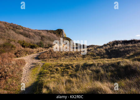 Percorsi di grande scogliera di Tor in dune di Nicholaston Burrows, Oxwich Bay, Penisola di Gower, South Wales, Regno Unito. Foto Stock