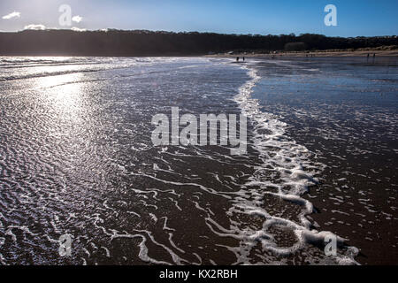 Percorsi di grande scogliera di Tor in dune di Nicholaston Burrows, Oxwich Bay, Penisola di Gower, South Wales, Regno Unito. Foto Stock