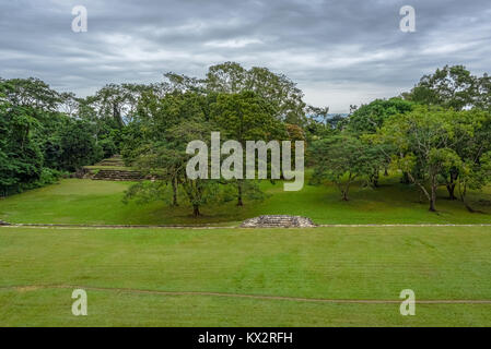 Vista di una giungla verde dietro un campo di erba in città maya di stato di Palenque Foto Stock