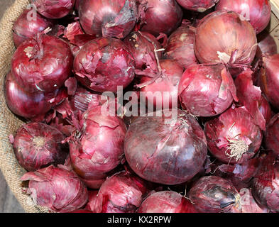 Molte le cipolle rosse da italia chiamato Cipolle di Tropea in lingua italiana Foto Stock