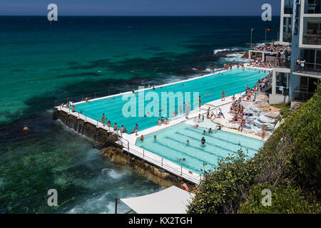 La gente del posto e i turisti in un momento di relax a Bondi iceberg, Bondi, Spiaggia, Sydney, Australia. Foto Stock