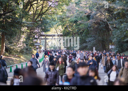 Hatsumode, Meijijingu Santuario, Shibuya, Tokyo, Giappone Foto Stock