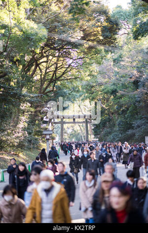 Hatsumode, Meijijingu Santuario, Shibuya, Tokyo, Giappone Foto Stock