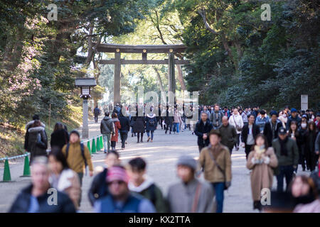 Hatsumode, Meijijingu Santuario, Shibuya, Tokyo, Giappone Foto Stock