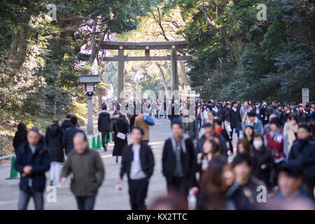 Hatsumode, Meijijingu Santuario, Shibuya, Tokyo, Giappone Foto Stock