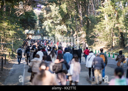 Hatsumode, Meijijingu Santuario, Shibuya, Tokyo, Giappone Foto Stock