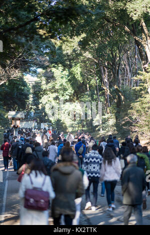 Hatsumode, Meijijingu Santuario, Shibuya, Tokyo, Giappone Foto Stock